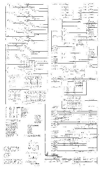 QUEEN OF HEARTS (Gottlieb) Schematic
