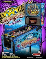 AEROSMITH PRO (Stern) Flyer