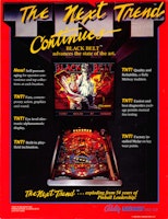 BLACK BELT (Bally) Flyer