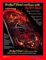 BLACK BELT (Bally) Flyer