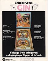 GIN (Chicago Coin) Flyer