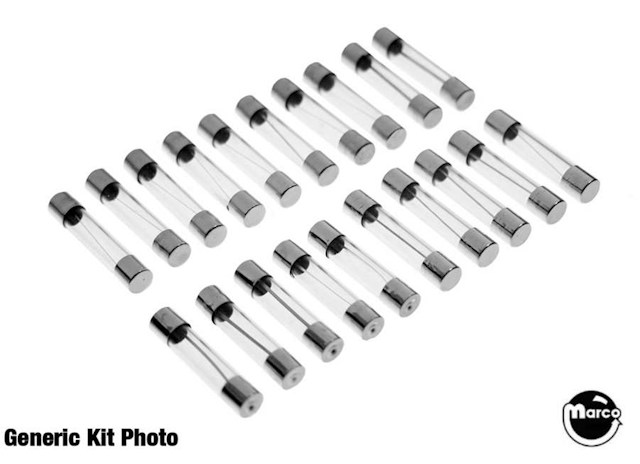 CACTUS JACK'S (Gottlieb) Fuse kit