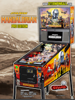MANDALORIAN PRO (Stern) Flyer