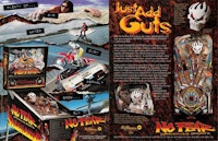 NO FEAR (Williams) Flyer