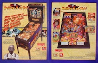 RIPLEY'S (Stern) Flyer