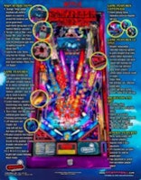 STRANGER THINGS LE (Stern) Flyer
