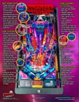 STRANGER THINGS PRO (Stern) Flyer