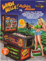 WHOA NELLIE (Stern) Flyer