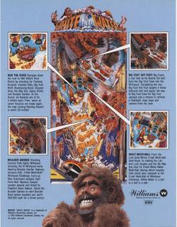 WHITE WATER (Williams) Flyer