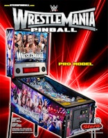 WWE WRESTLEMANIA PRO (Stern) Flyer