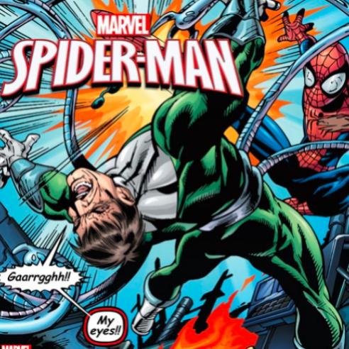 SPIDERMAN VAULT (Stern)