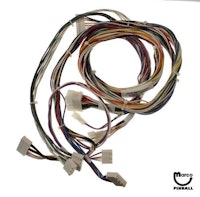 Secondary backbox cable - Williams