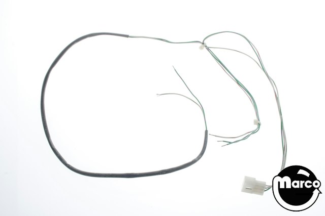 THEATRE OF MAGIC (Bally) center ramp switch harness