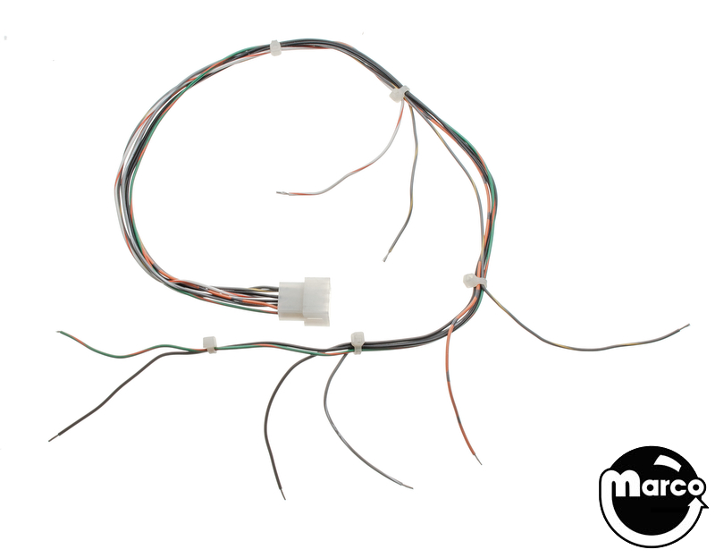 CHAMPION PUB (Bally) Cable right scoop