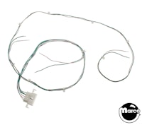 CHAMPION PUB (Bally) Cable main ramp
