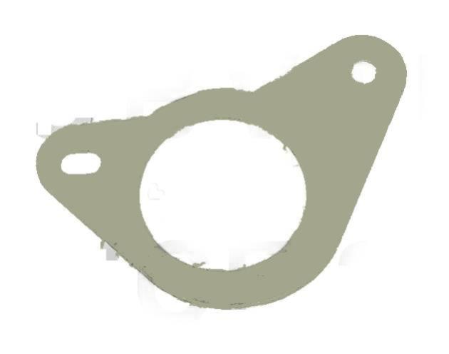 TALES ARABIAN NIGHTS (WMS) Hole Guard surface