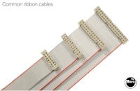 JUNGLE LORD (Williams) Ribbon cable kit