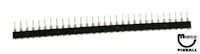 SIP socket (single inline pin) 30-Pin