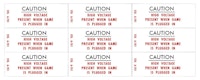 Caution High Voltage decals Williams (9)
