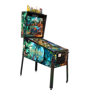 HARRY POTTER WE (JJP) Pinball Machine