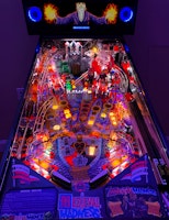 MEDIEVAL MADNESS - MERLIN EDITION (Chicago Gaming Company) Pinball Machine