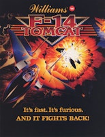 F-14 TOMCAT (Williams) Flyer