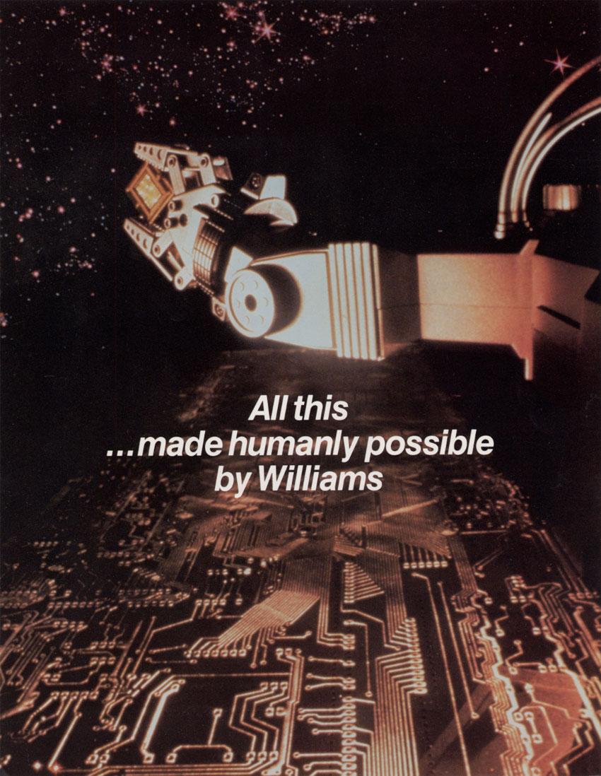 PINBOT (Williams) Flyer