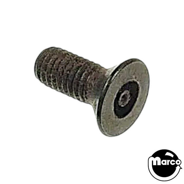 Torx Screw w/ Security Torx Head 10/32