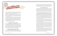 Pinball: A Quest For Mastery Book by Schiffer Publishing