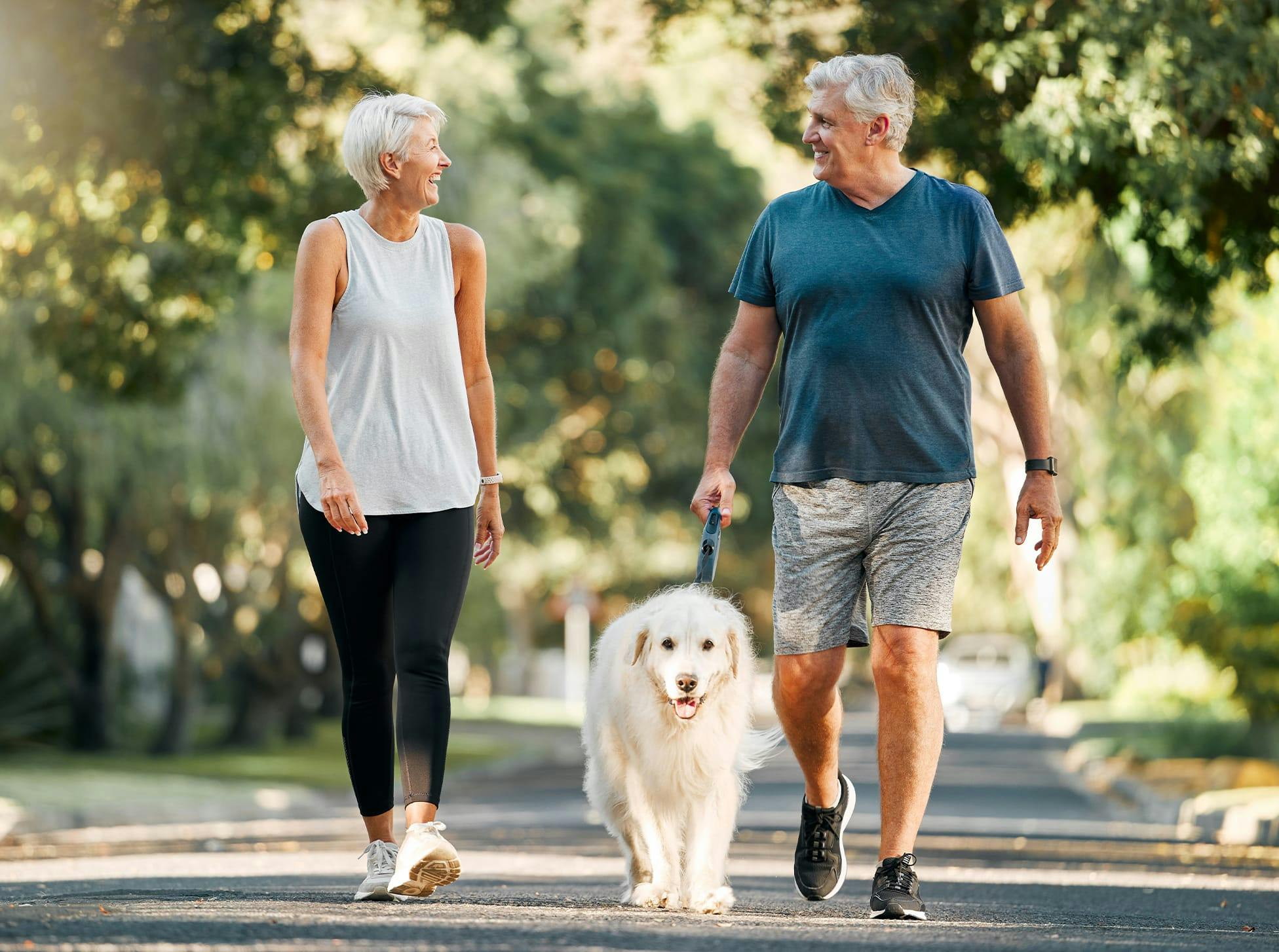 older man and woman walking a big fluffy dog