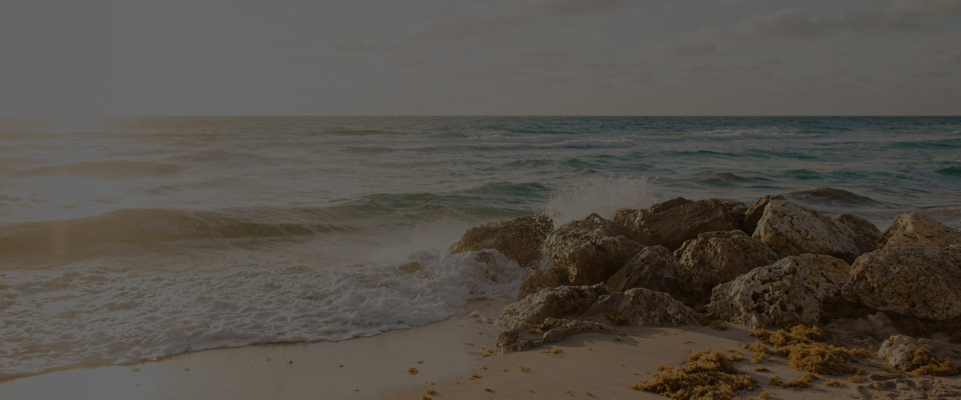 Banner media