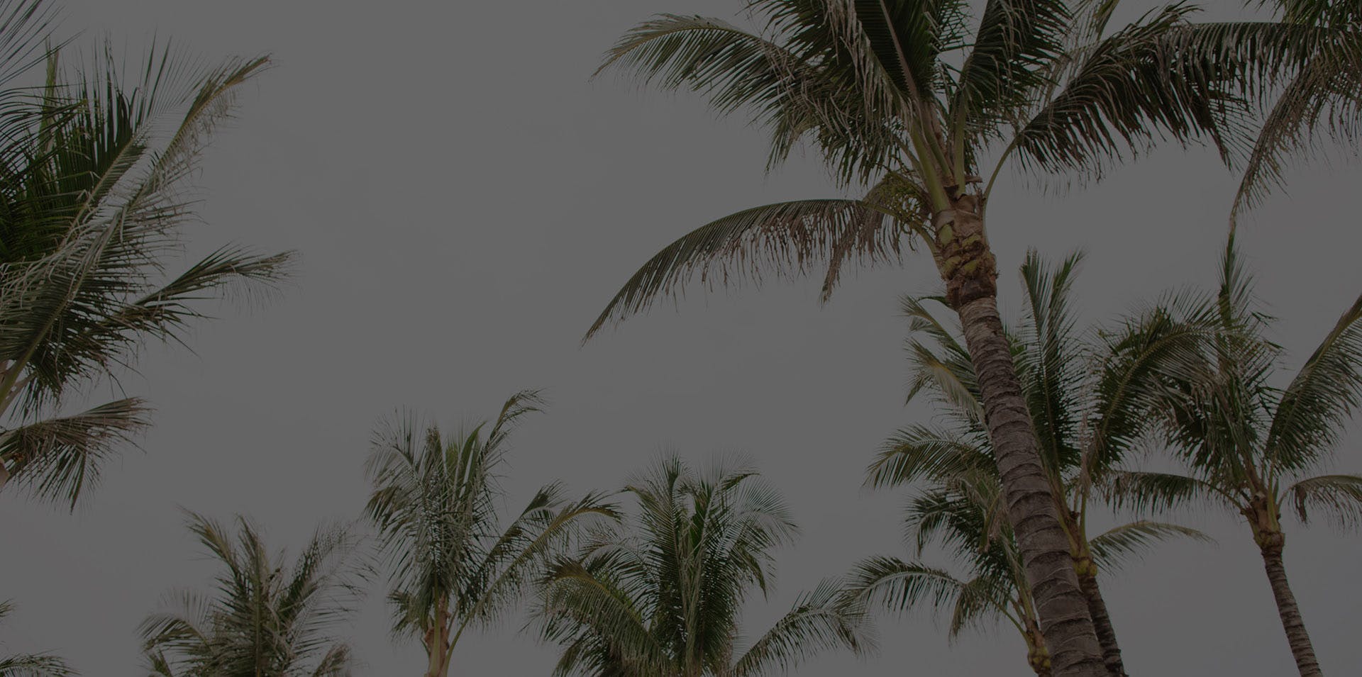 Background media