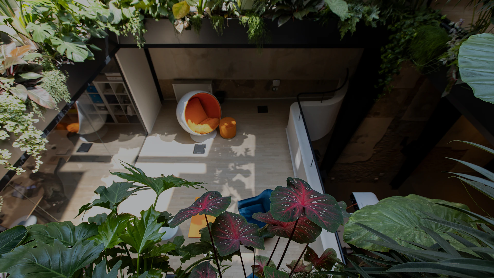 WHAT DOES SUNTIMER MEAN?WHO’S THAT?