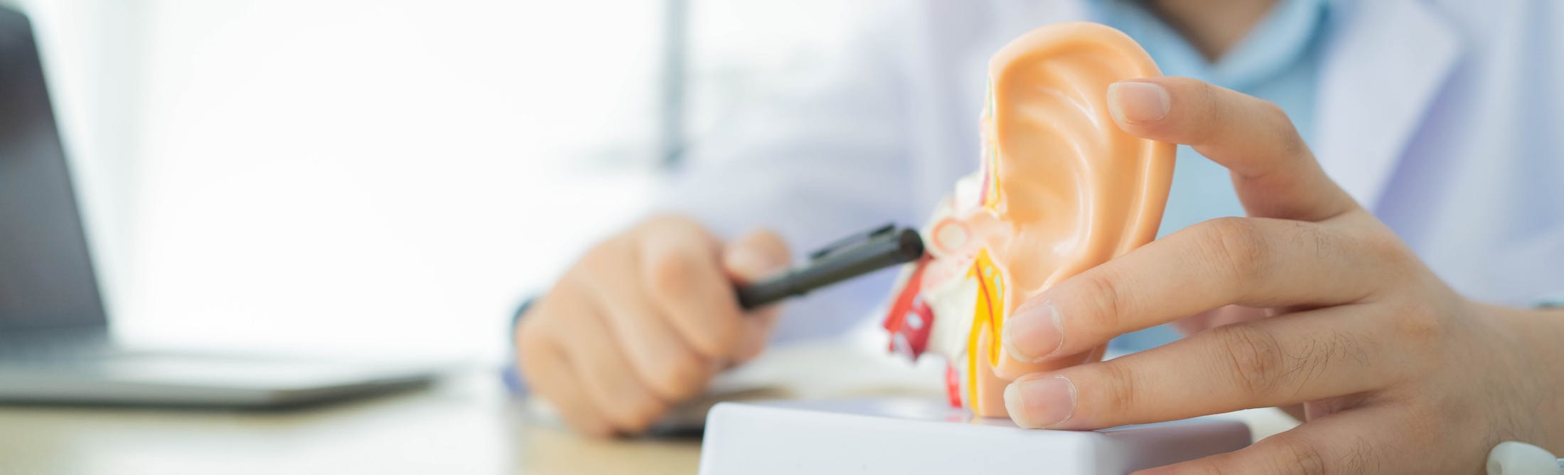 Dr holding a model of an ear