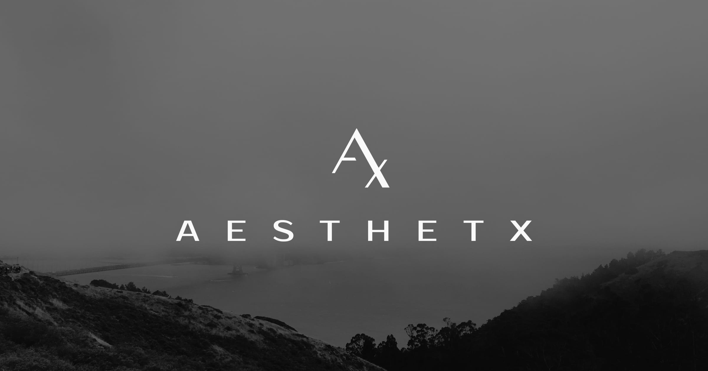 健康・医学 aesthetic plastic surgery of the east Aesthetic Plastic Surgery of the East Asian Face