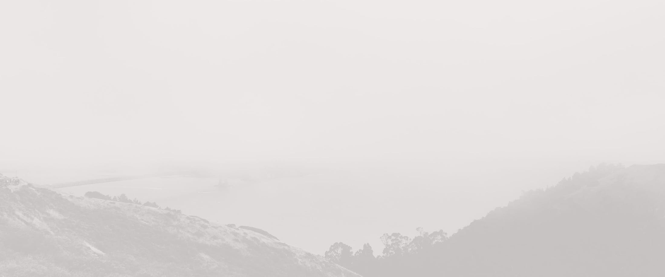 Banner media