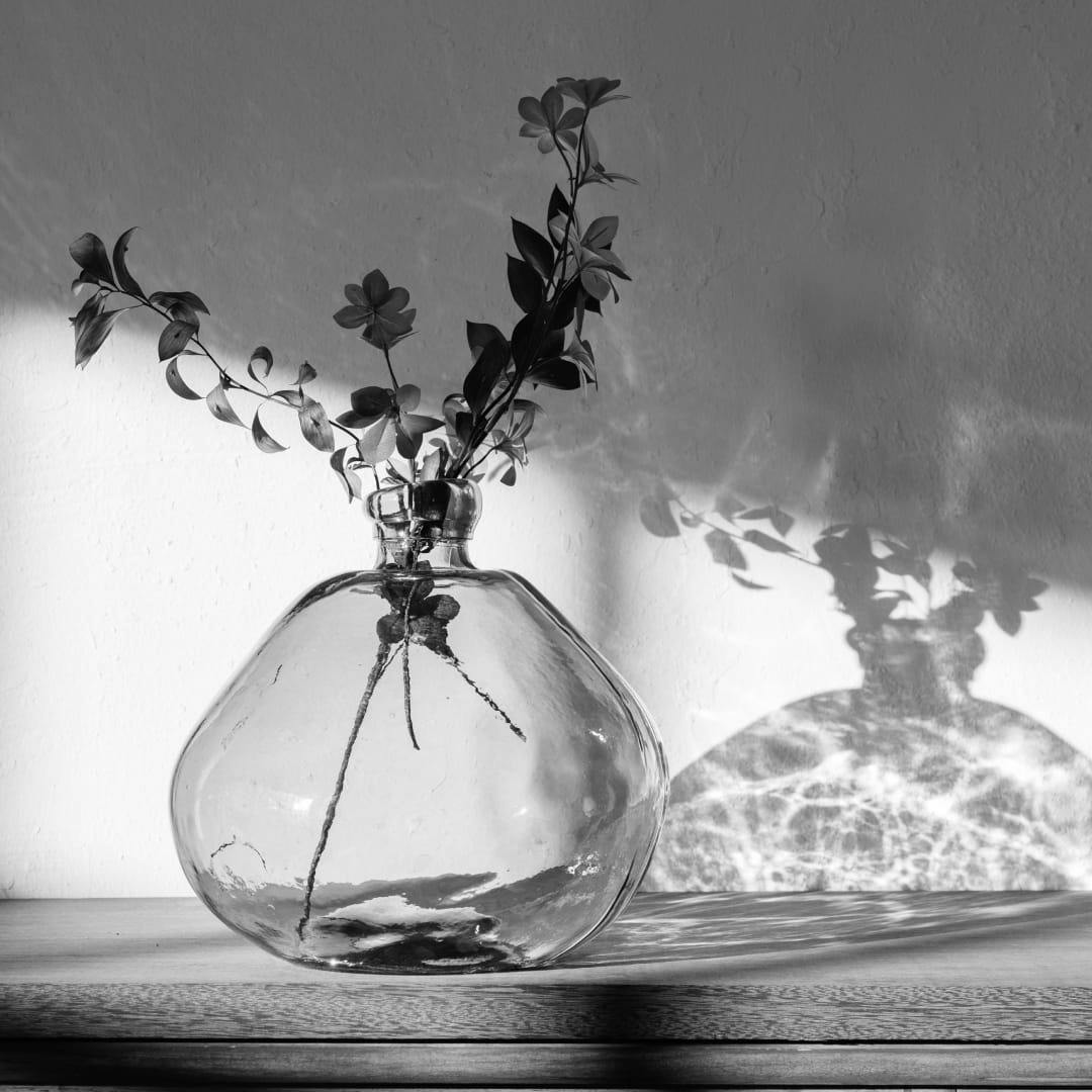 plants in glass vase