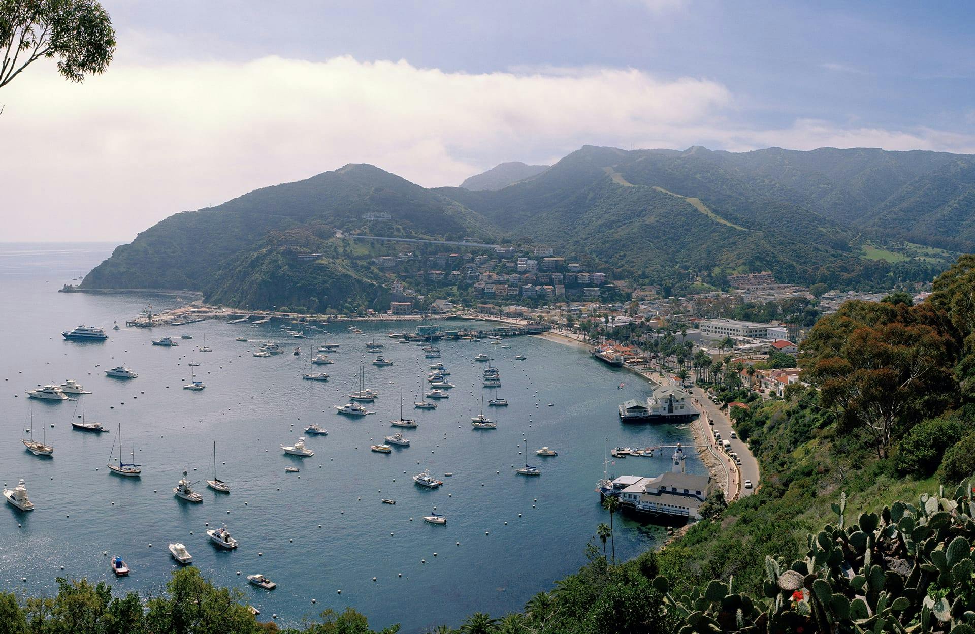 bay with boats