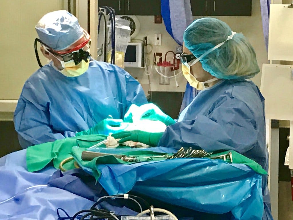 Doctors in scrubs