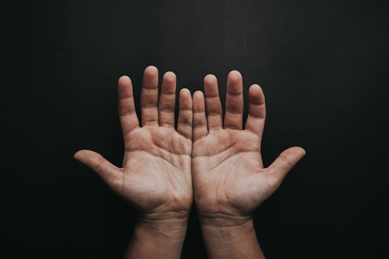 Person's hands