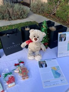Winter Wishes Program