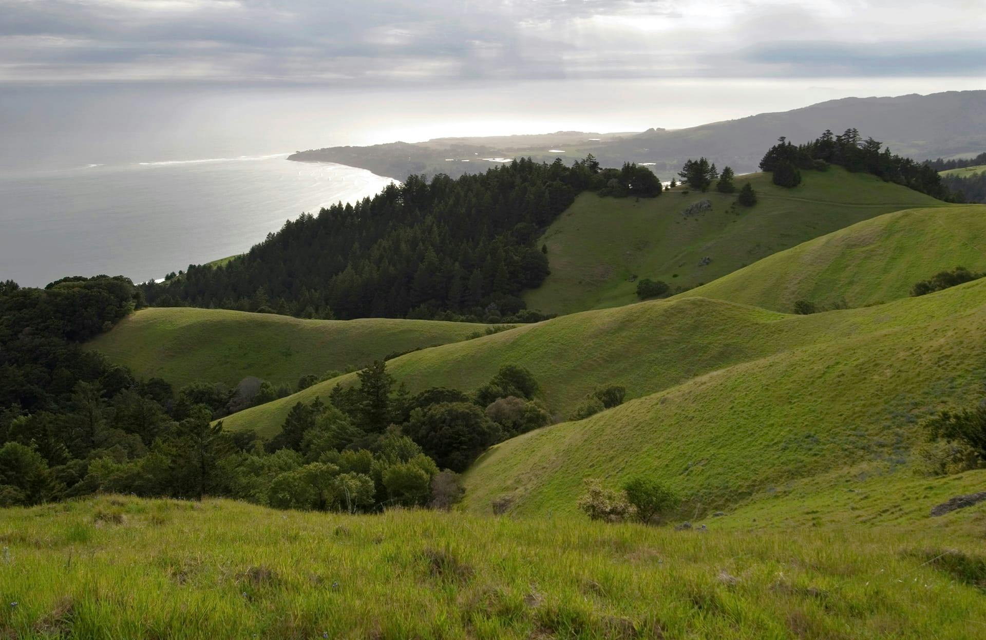 hills by the ocean