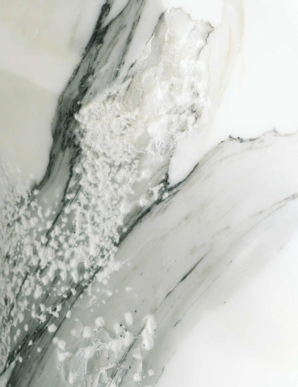 Exhibit Image