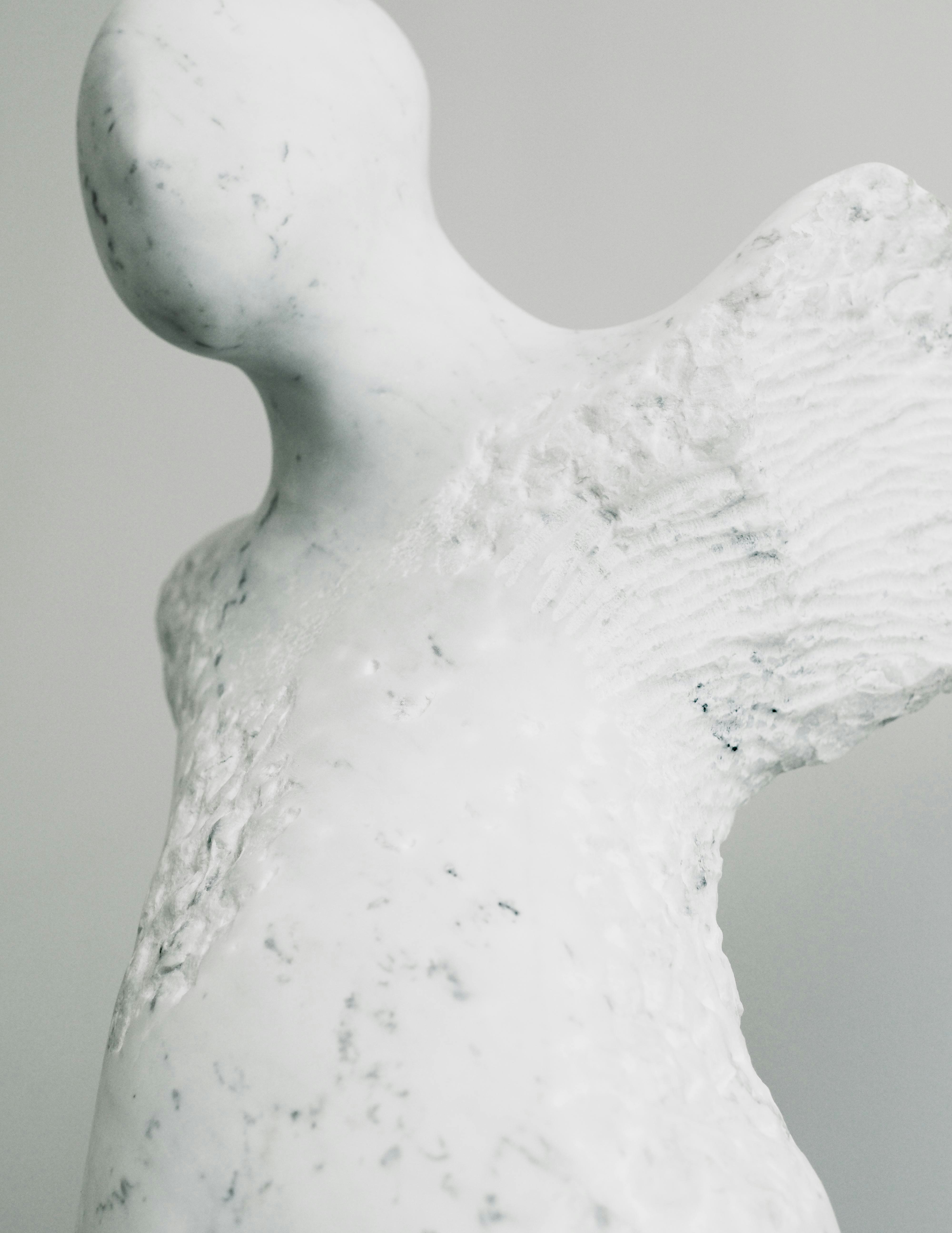 Exhibit Image