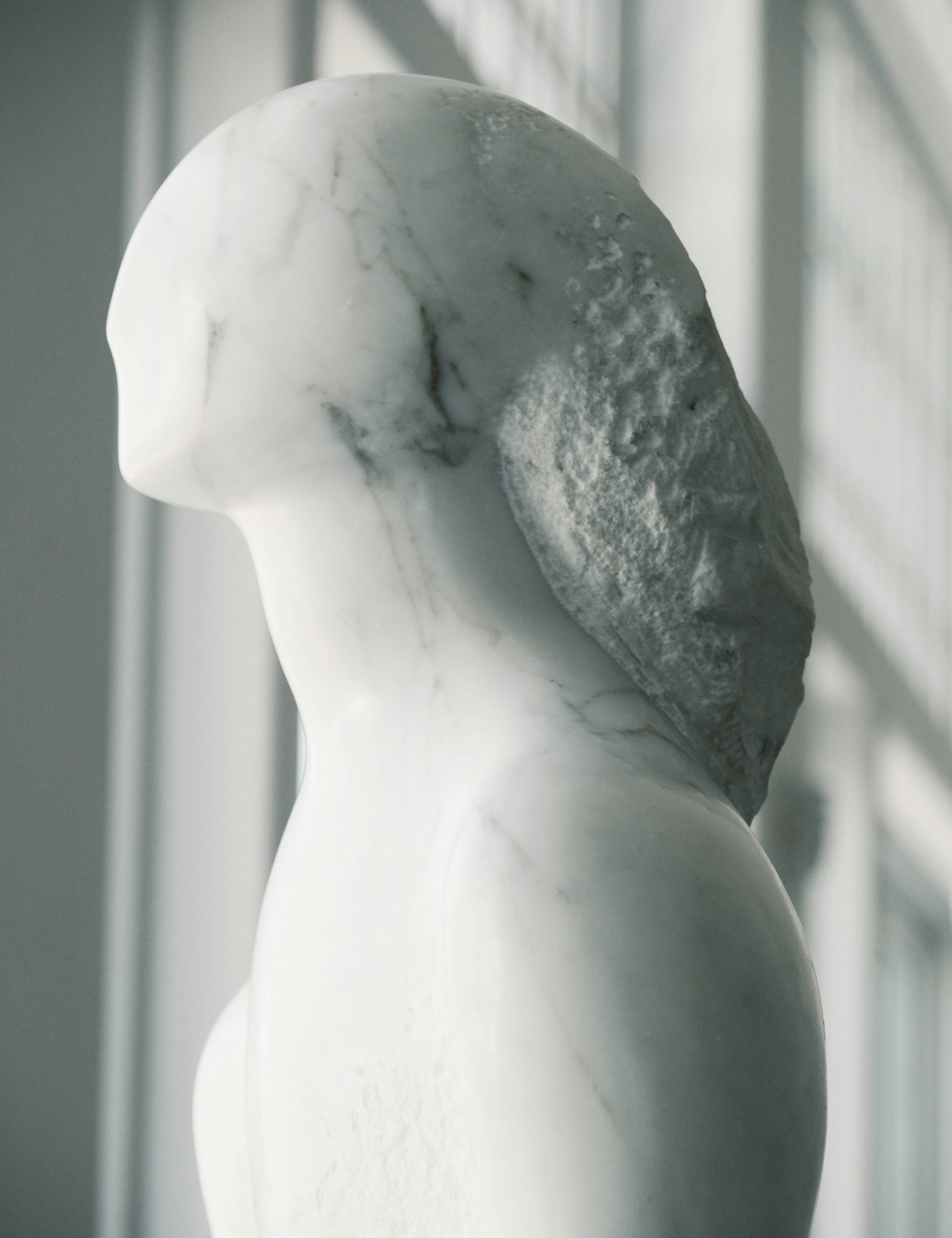 Exhibit Image