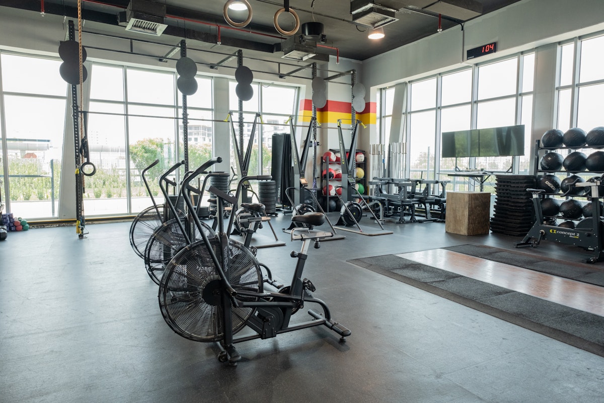 Spacious gym with large windows, featuring air bikes, CrossFit rings, and various workout equipment such as medicine balls, kettlebells, and resistance bands