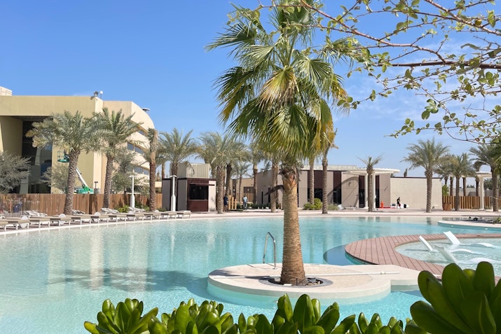 Palm tree by a large pool in a resort setting.