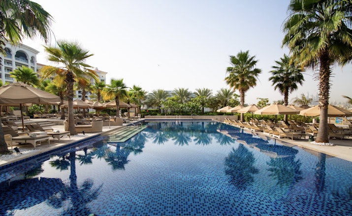 A pool surrounded by palm trees with lounge chairs beside it, under a clear blue sky.