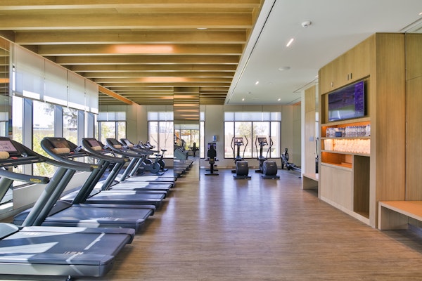 Bright and modern gym interior featuring treadmills and exercise machines with large windows and wooden beams