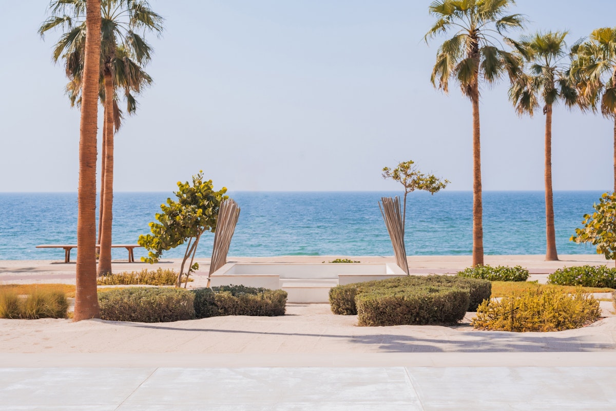 Beachfront seating area with palm trees and ocean view.